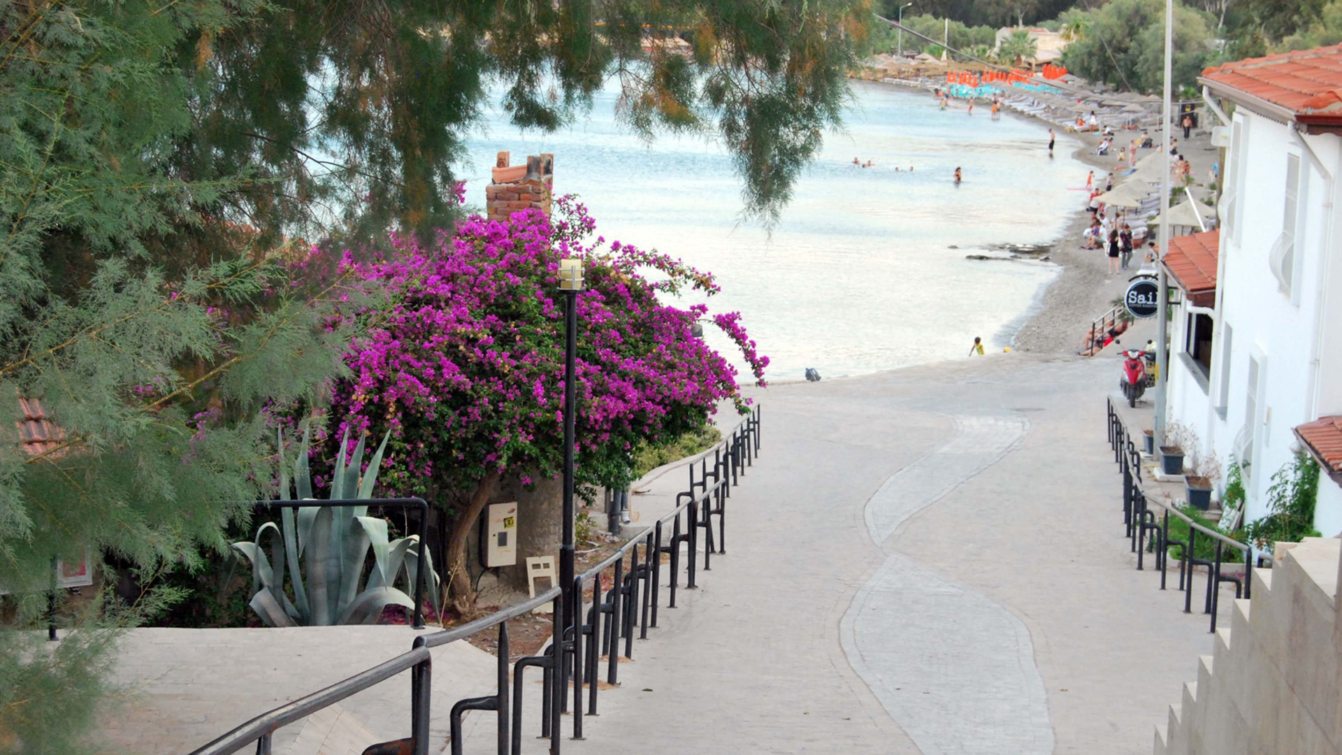 Taşlık Plajı